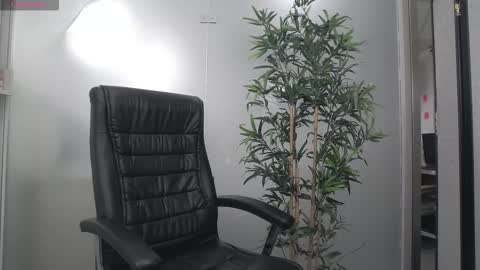 Yara online show from November 26, 5:05 am