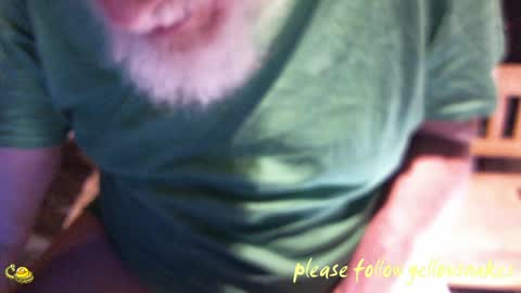 .     y e l l o w s n a k e s       . online show from April 3, 10:55 am