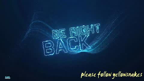 .     y e l l o w s n a k e s       . online show from December 19, 8:37 pm