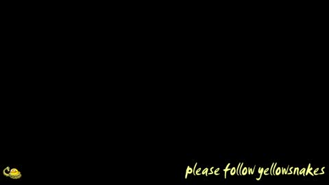 .     y e l l o w s n a k e s       . online show from April 13, 11:47 am