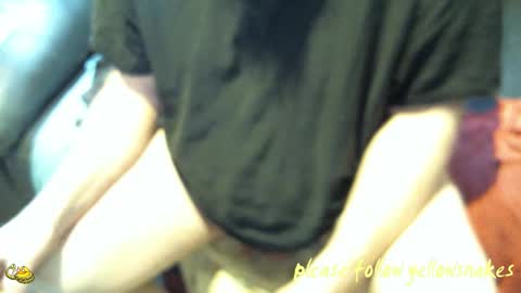 .     y e l l o w s n a k e s       . online show from October 23, 6:42 pm