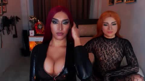 alexandria online show from October 13, 10:50 am