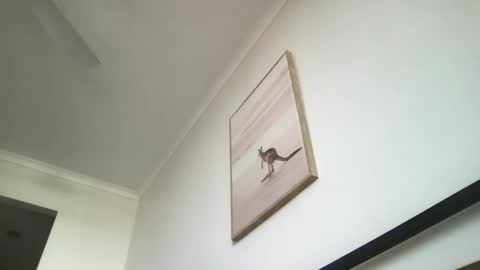 yoyoyo1221 online show from November 9, 8:44 pm