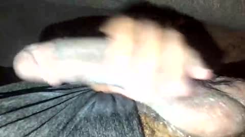 Yungdaggerdixk4 online show from December 14, 12:06 am