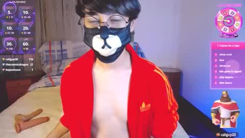 the puppy boy online show from February 15, 4:25 am