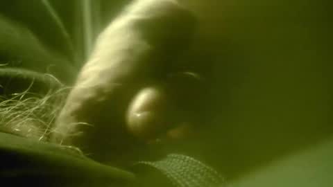 zaboski4 online show from February 2, 8:10 am