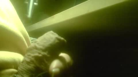 zaboski4 online show from March 23, 7:57 am