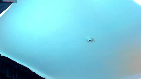 zachpri20 online show from December 6, 10:35 pm