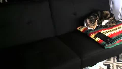 Aiden online show from September 22, 1:21 am