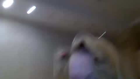 Zarina Swift online show from February 14, 4:47 am