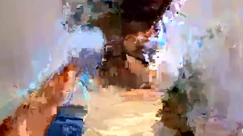 zayden online show from October 2, 5:39 am