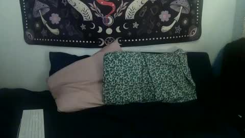 Zelda online show from January 24, 1:24 am