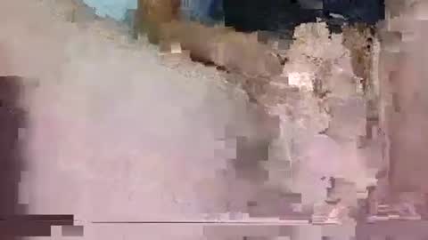 zenadzenad online show from October 18, 2:38 am