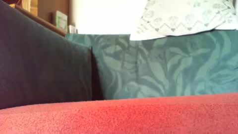 zevioo77 online show from October 27, 9:09 am