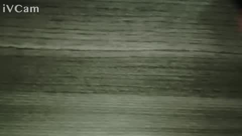 zezuinho online show from November 23, 8:51 pm