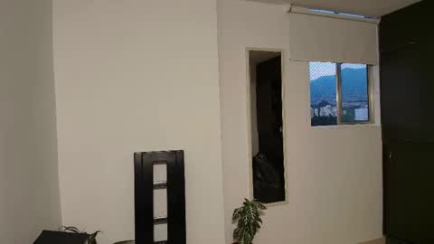 Zhara online show from December 3, 11:00 am