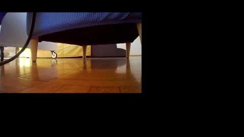 zlayva online show from February 27, 7:01 am