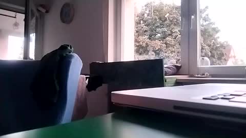 zlayva online show from October 2, 4:39 pm