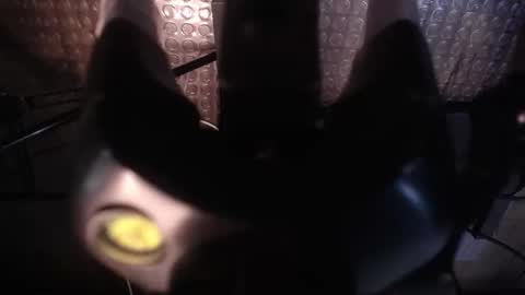 zoey_stone online show from November 15, 12:56 am